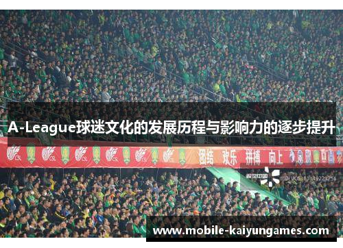 A-League球迷文化的发展历程与影响力的逐步提升