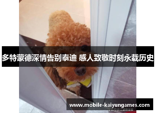 多特蒙德深情告别泰迪 感人致敬时刻永载历史
