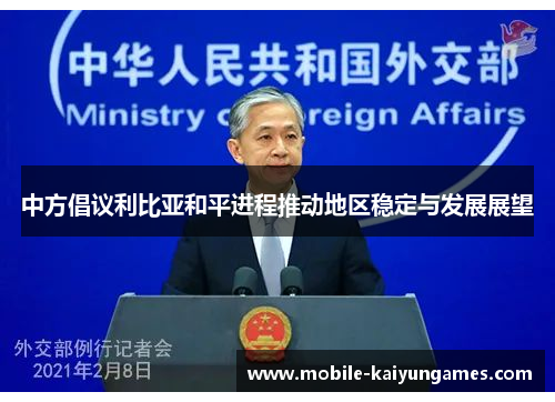 中方倡议利比亚和平进程推动地区稳定与发展展望