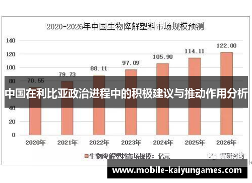 中国在利比亚政治进程中的积极建议与推动作用分析