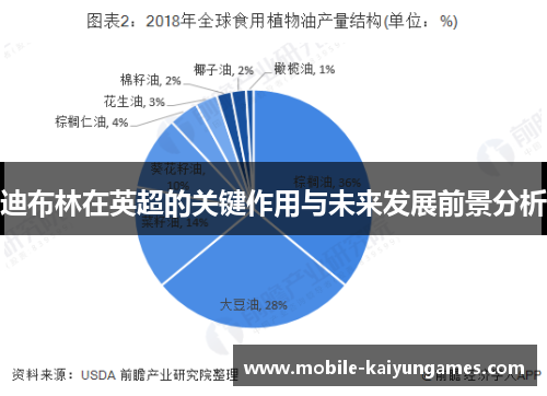 迪布林在英超的关键作用与未来发展前景分析 迪布林在英超的关键作用与未来发展前景分析