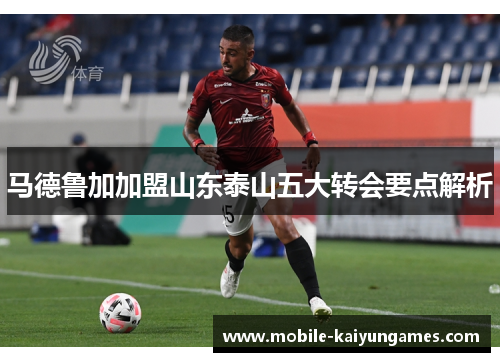 马德鲁加加盟山东泰山五大转会要点解析